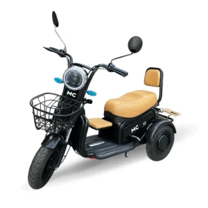 GREEN TRICICLO JOY 600W