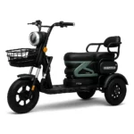 TRICICLO U1 - 1000W