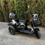 TRICICLO U1 - 1000W - Imagem 2