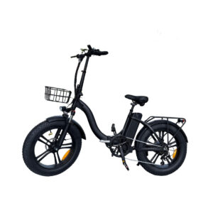 Bicicleta Elétrica BK-06 1000W