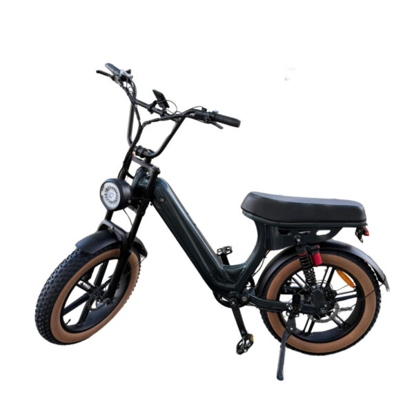 Bicicleta Elétrica EB15 1000W - Imagem 1