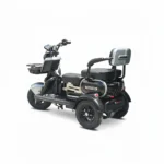 GREEN TRICICLO U1-S - 1000W - Imagem 2